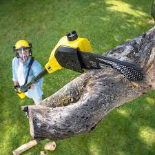 Best Seasonal Cleanup (Spring/Fall)  in Fishers, IN